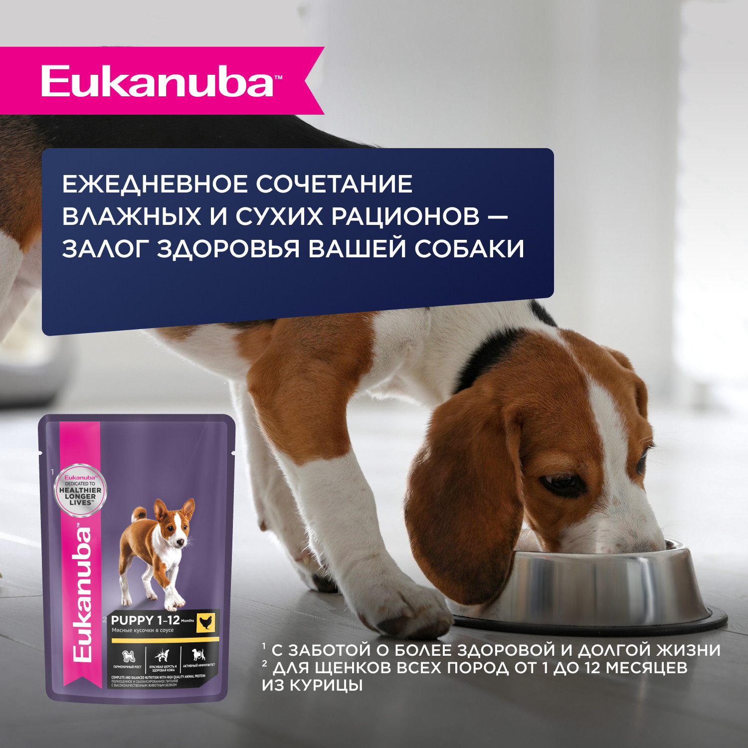 Корм для собак Eukanuba 800г Паппи Смол Брид 12м - фото 6