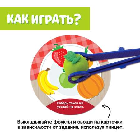 Игрушка IQ-ZABIAKA сортер