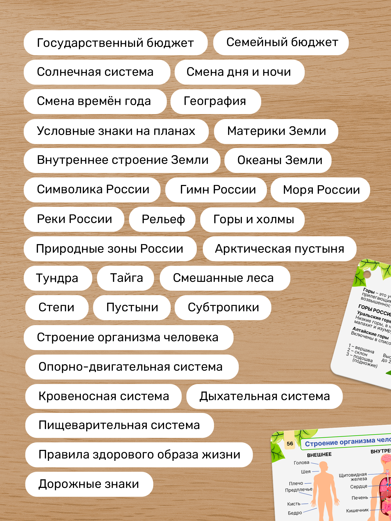 Карточки Выручалкин Окружающий мир 1-4 класс - фото 6