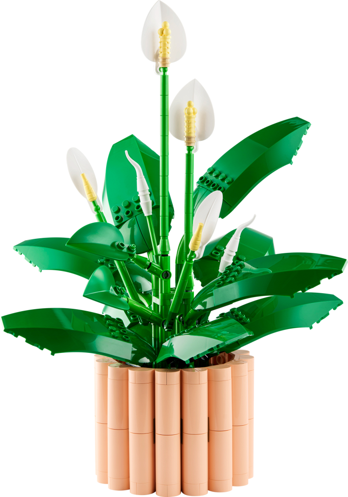 Конструктор LEGO Botanicals 11504 474 дет. - фото 4