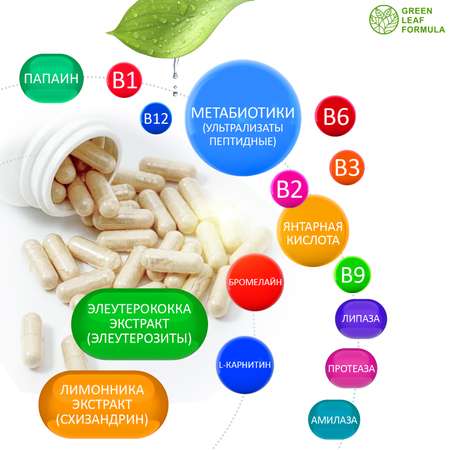 Набор для детокса и очищения Green Leaf Formula метабиотик спирулина ферменты для кишечника