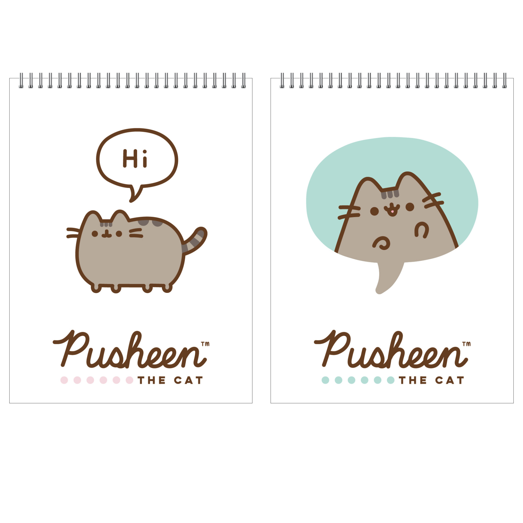 Блокнот Pusheen 40 лист. в ассортименте - фото 1