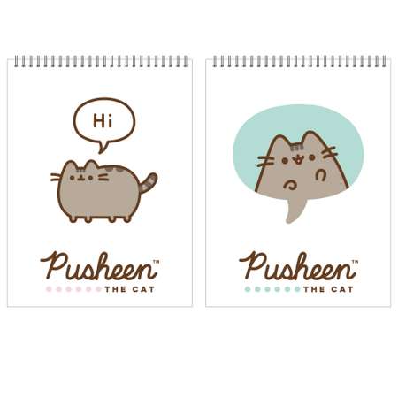 Блокнот Pusheen 40 лист. в ассортименте