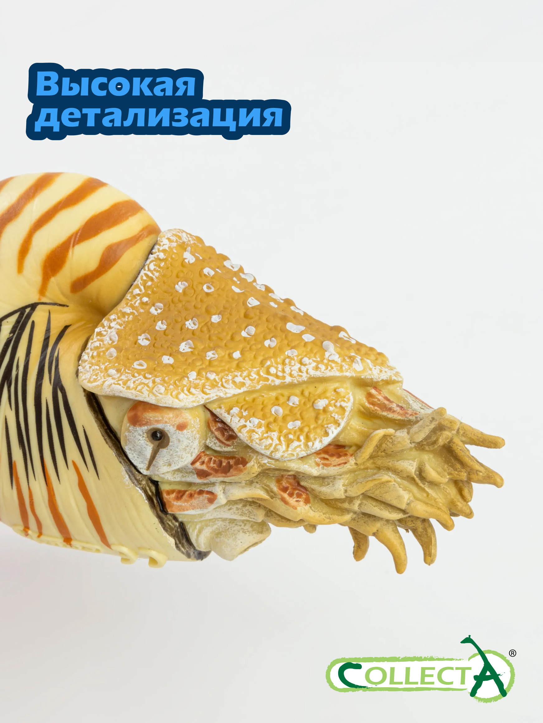 Фигурка Collecta Моллюск Наутилус Помпилиус - фото 3