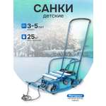 Санки NiKA kids Тимка 5