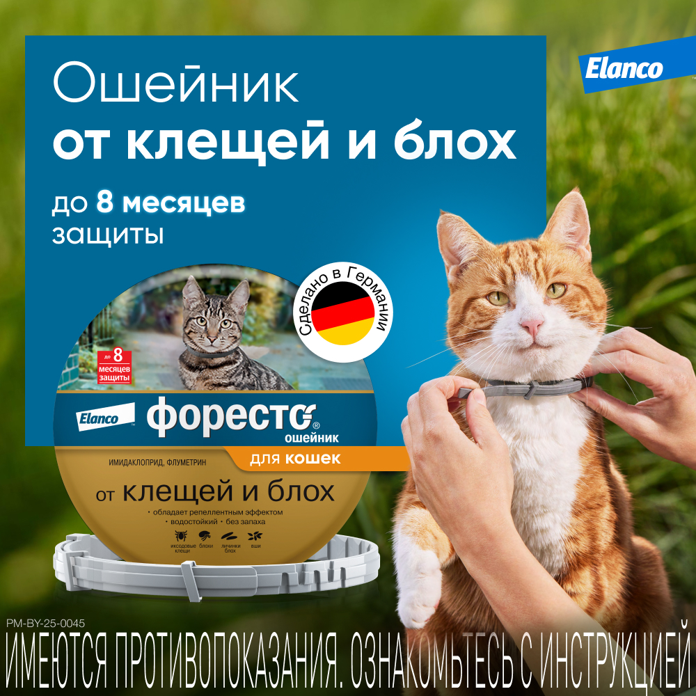 Ошейник для кошек Elanco Foresto от блох и клещей защита 8месяцев 38см 65232 - фото 2