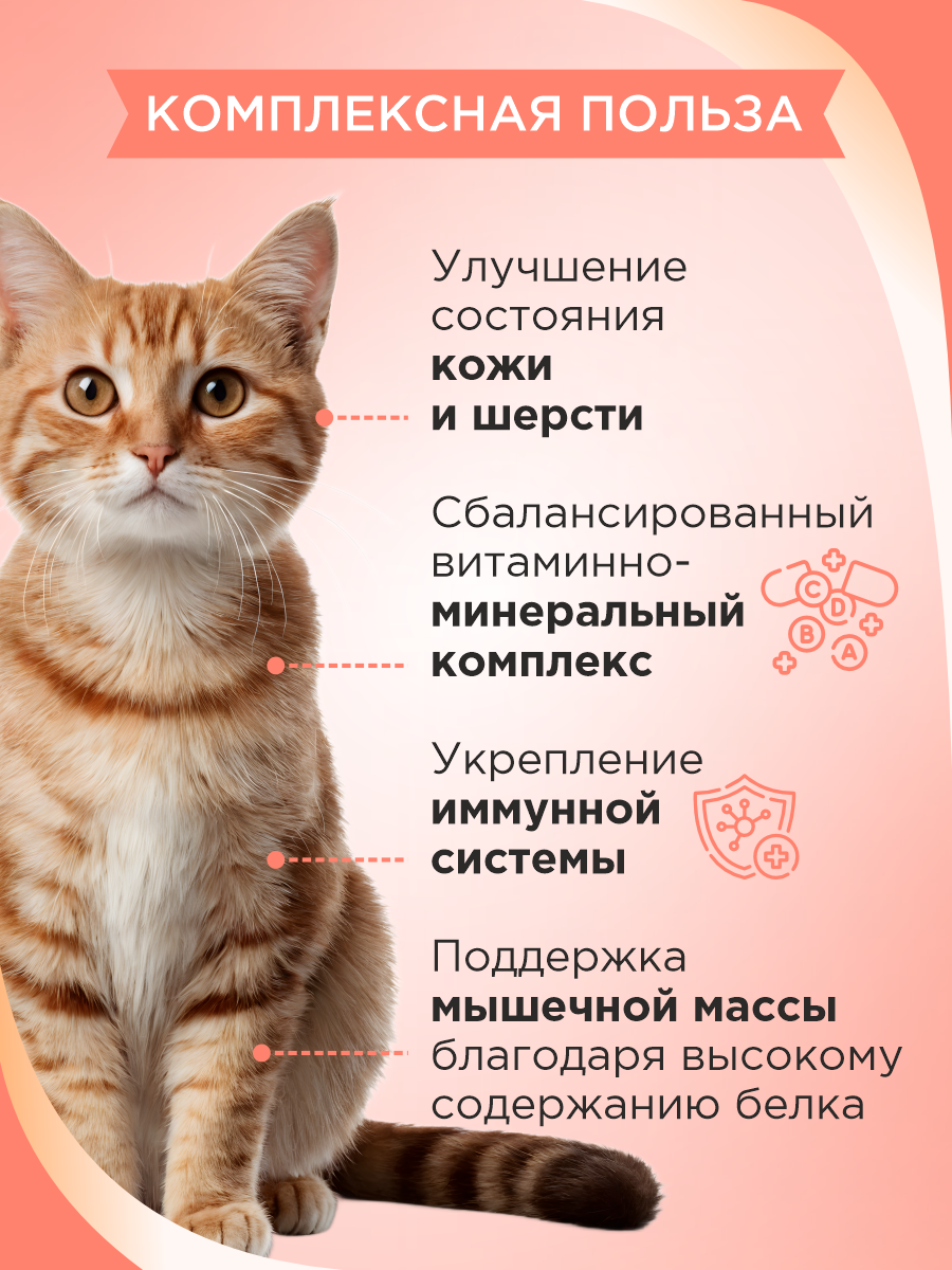 Полезное лакомство для кошек GOODR CAT со вкусом норвежского лосося 90 таблеток - фото 3