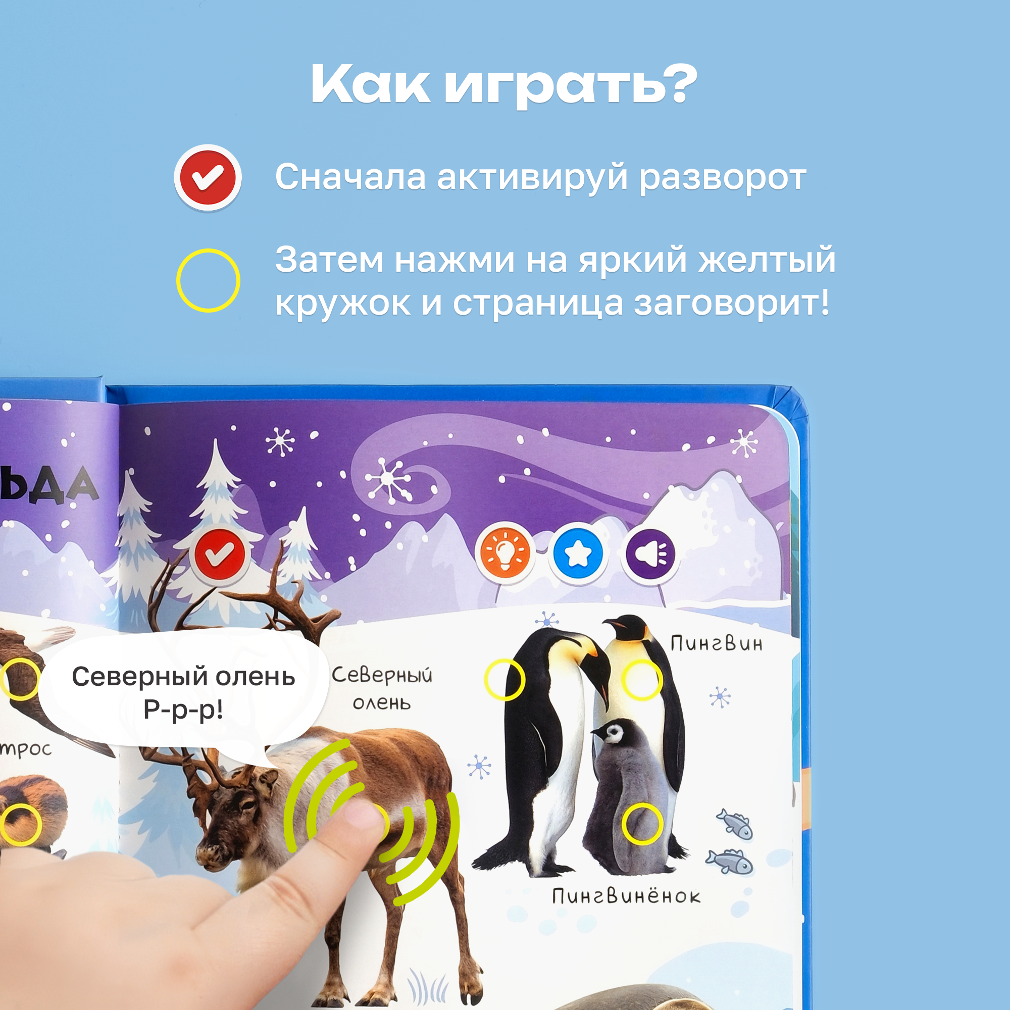 Комплект говорящих книжек BertToys Нажималки: Животные + Русский алфавит - фото 5