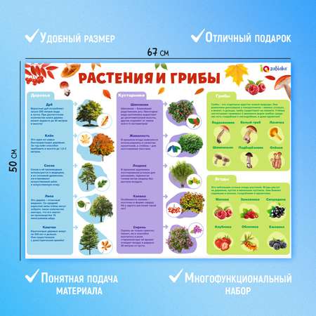 Настольная игра IQ-ZABIAKA Для подготовки в школе