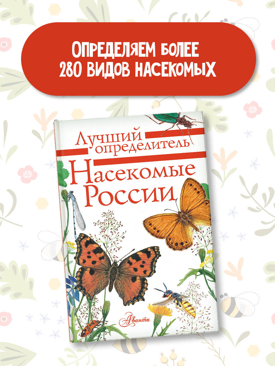 Книга АСТ насекомые России - фото 1