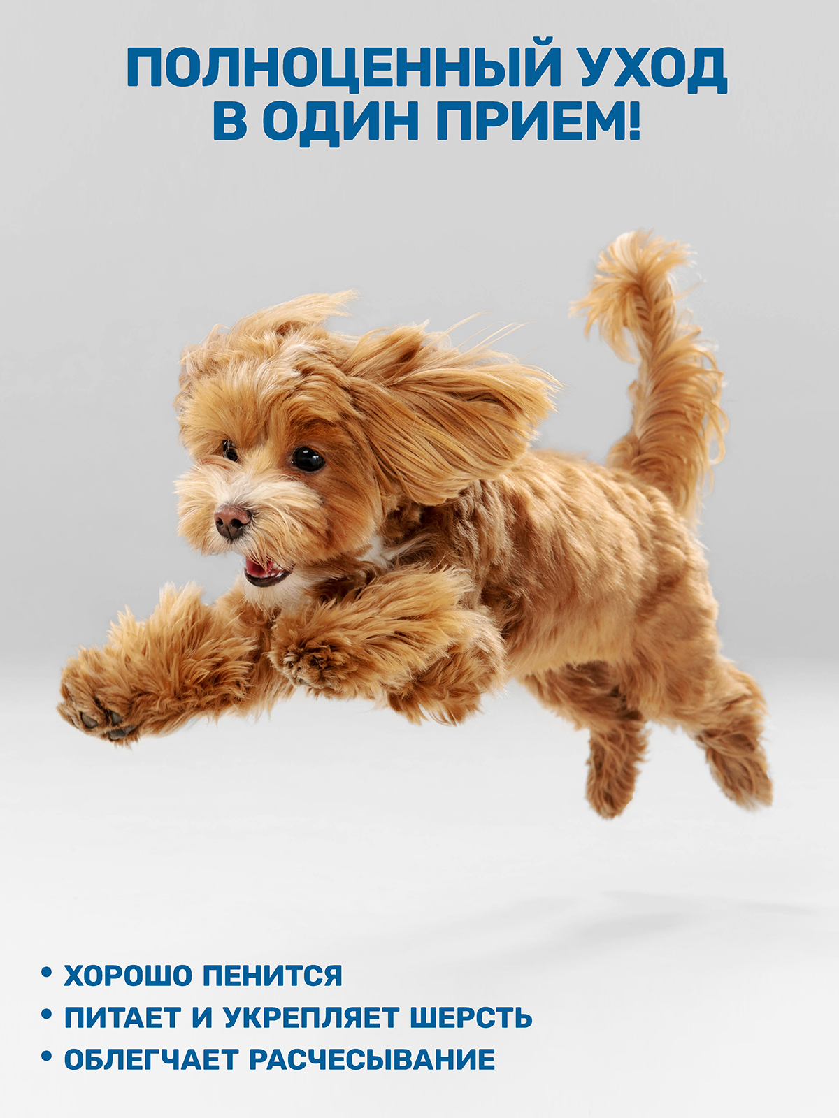 Шампунь-кондиционер ZOORIK для собак и кошек 2 в 1 500 мл - фото 2