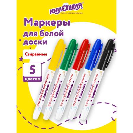 Маркеры Юнландия 5 шт.