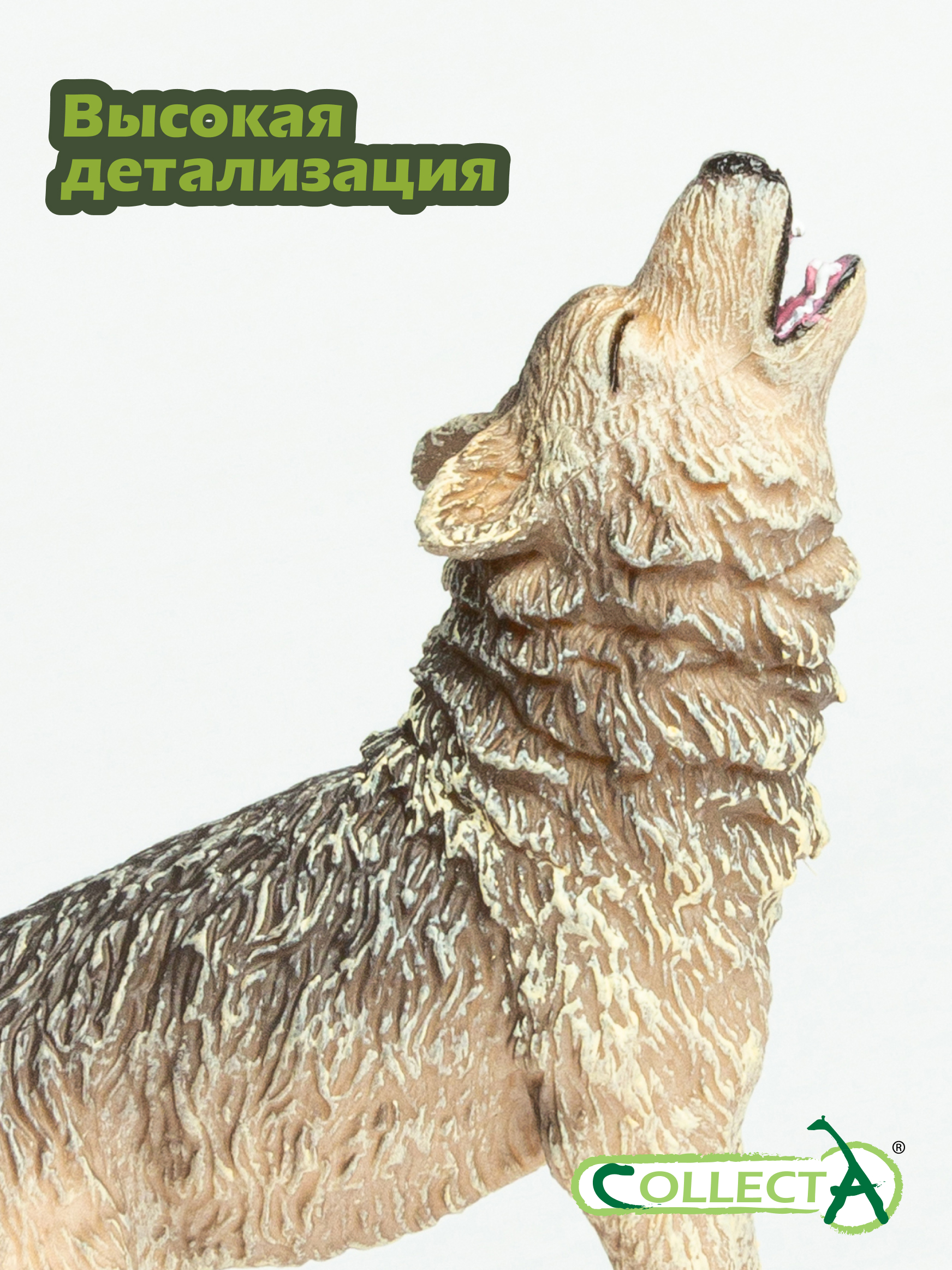 Фигурка Collecta Обыкновенный волк воющий - фото 3