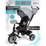 Трехколесный велосипед Velobibi 10 дюймов