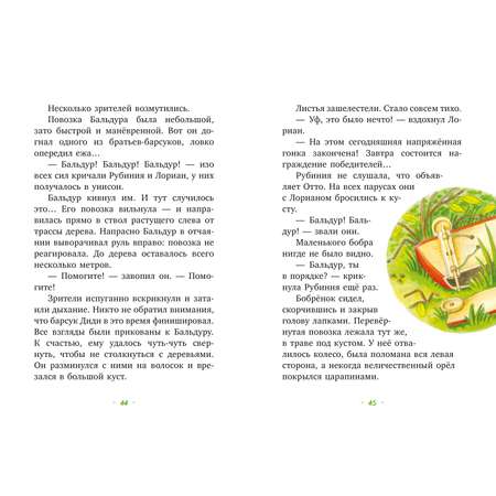Книга Clever Издательство Рубиния чудесное сердце - смелая девочка из рода лесных эльфов. Свет волшебного камня