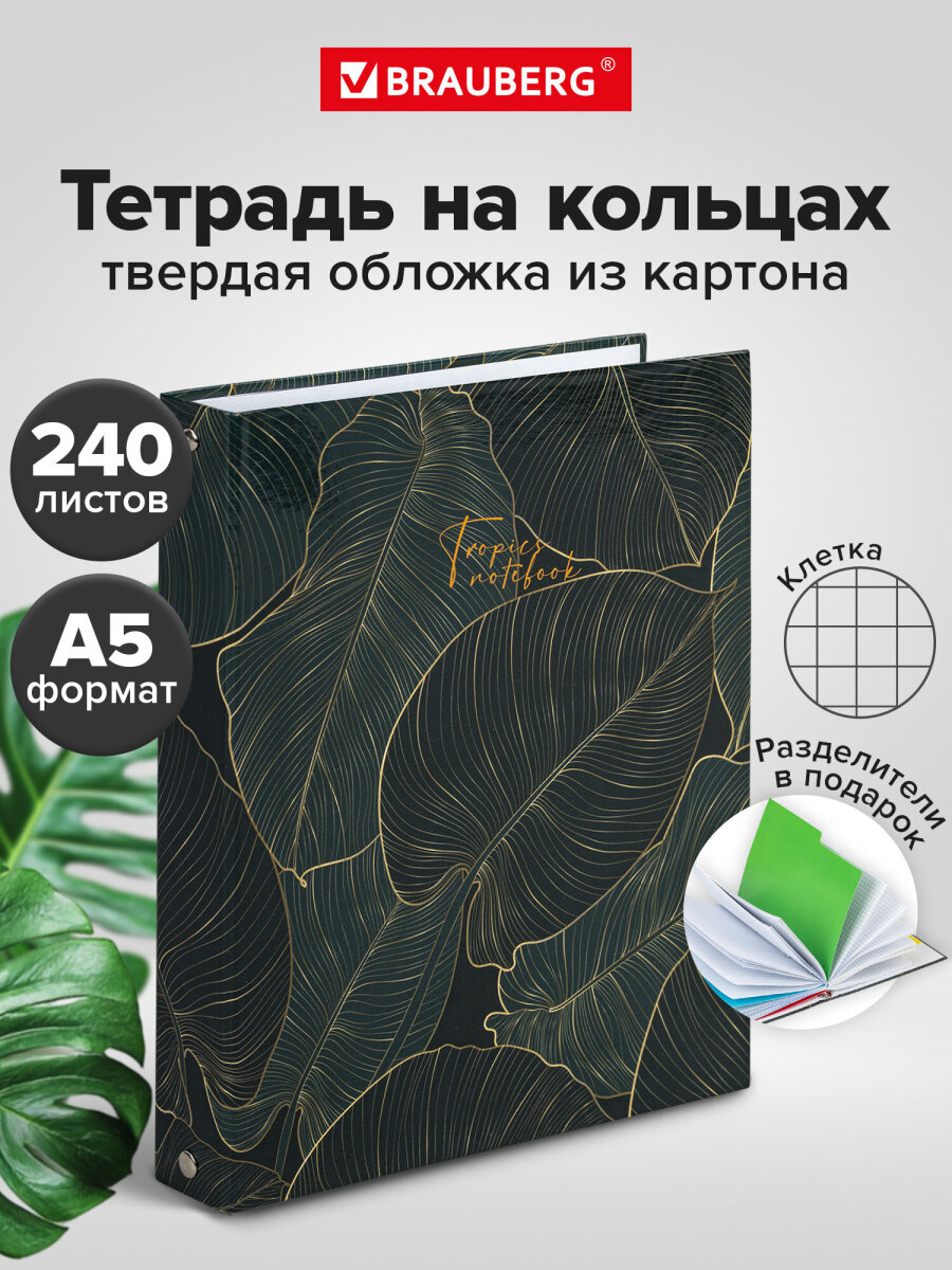 Тетрадь со сменным блоком Brauberg клетка 240 лист. - фото 1