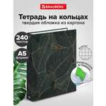 Тетрадь со сменным блоком Brauberg клетка 240 лист.