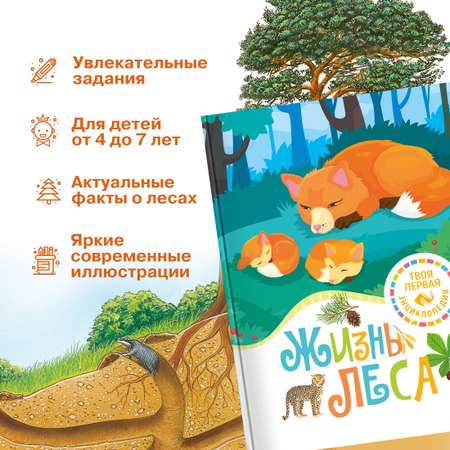 Книга Махаон Жизнь леса