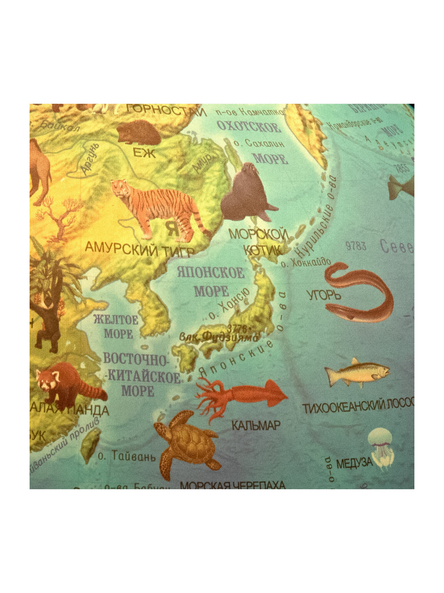 Глобус Globen интерактивный зоогеографический с подсветкой и VR очками диаметр 25 см - фото 20