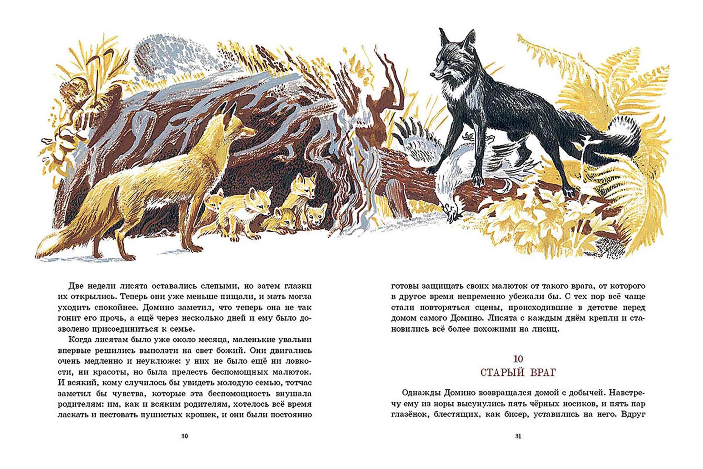Книга Издательство Речь Рассказы о животных - фото 2