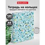 Тетрадь со сменным блоком Brauberg клетка 120 лист.