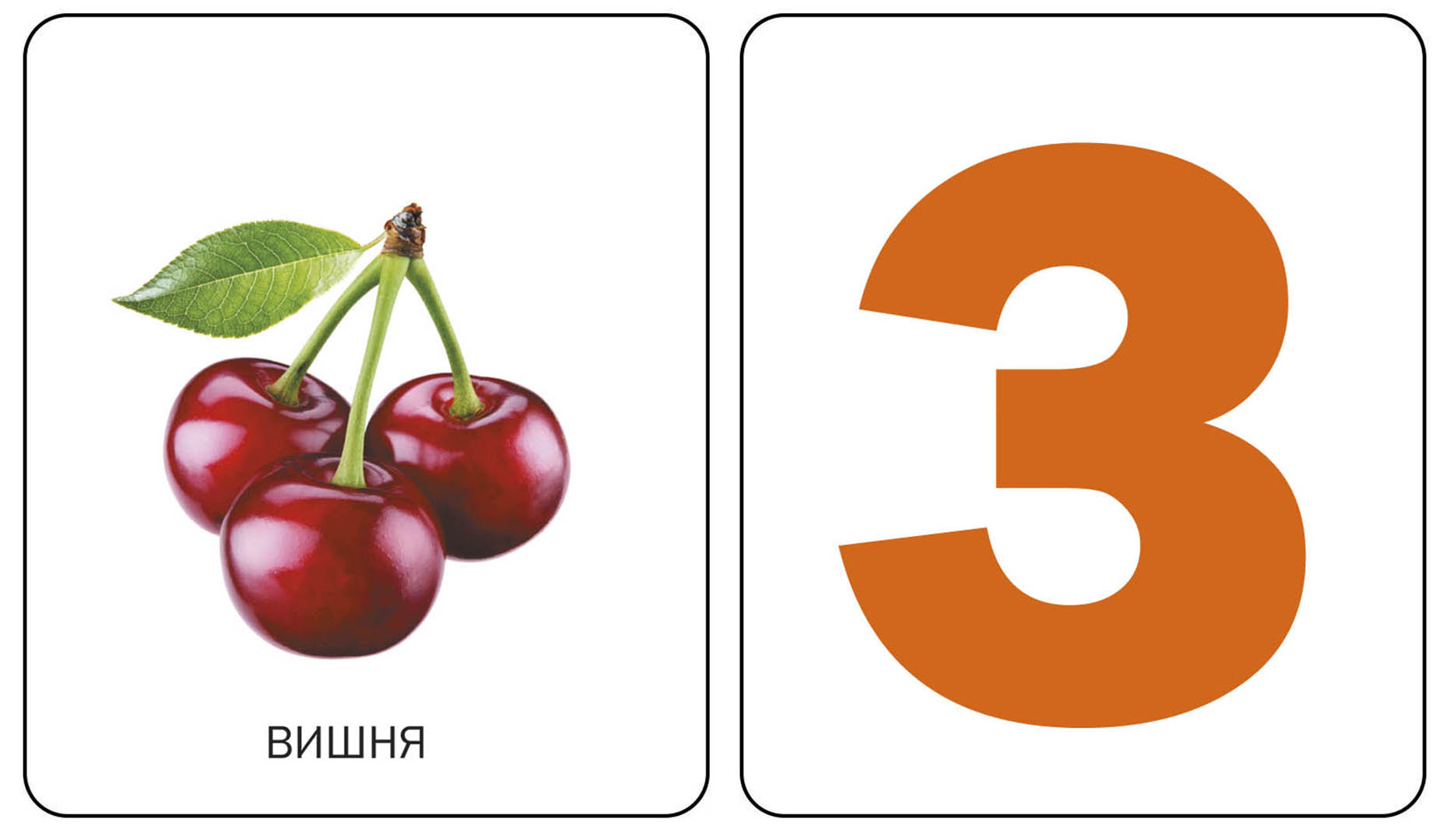 Книга Качели Карточки Цифры - фото 2
