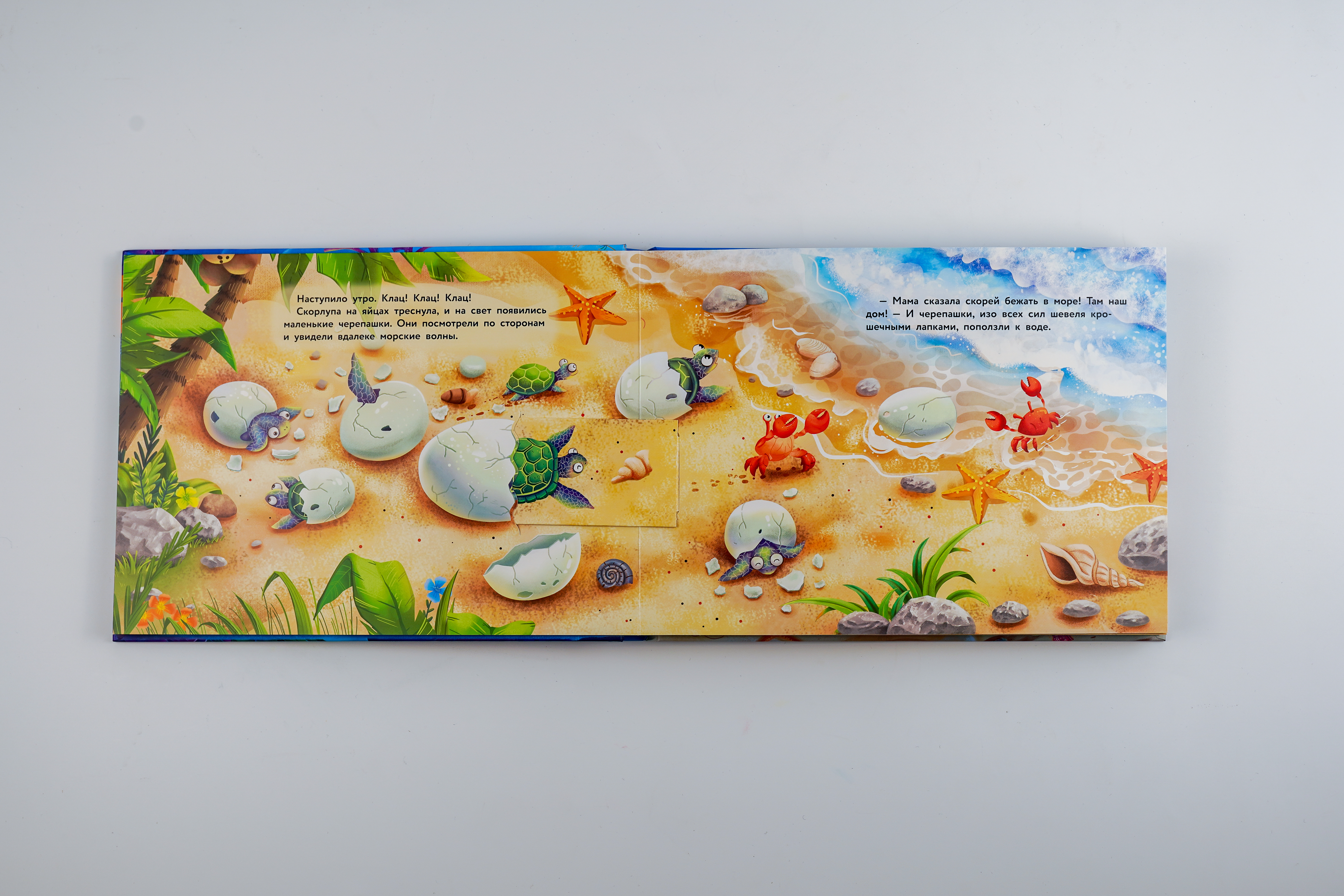 Книга АСТ Отважные черепашки - фото 4