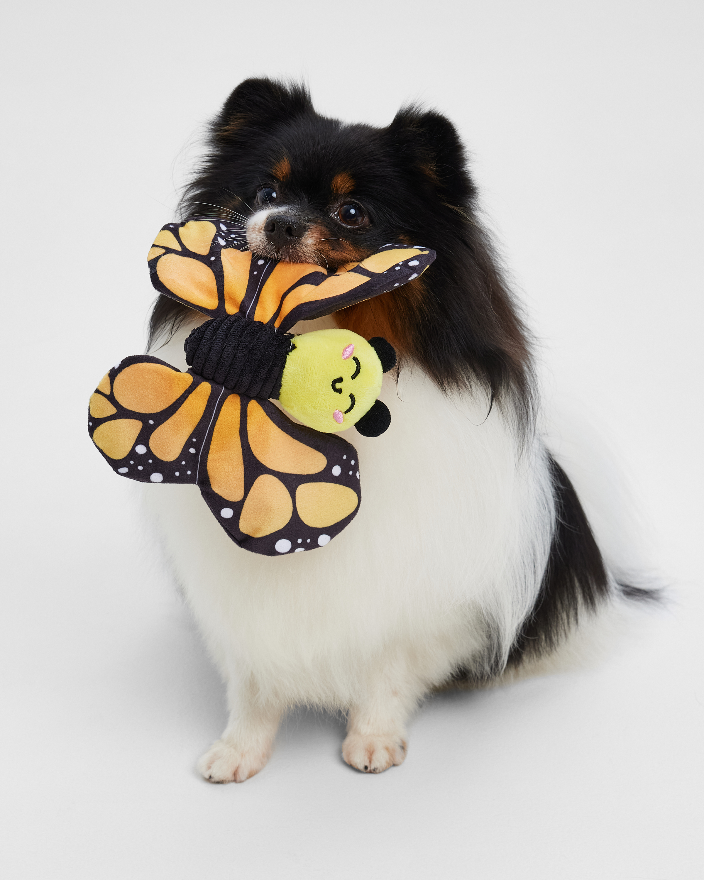 Игрушка для собак Barbaks Бабочка Анфиса шуршит 19м - фото 1