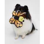 Игрушка для собак Barbaks Бабочка Анфиса шуршит 19м