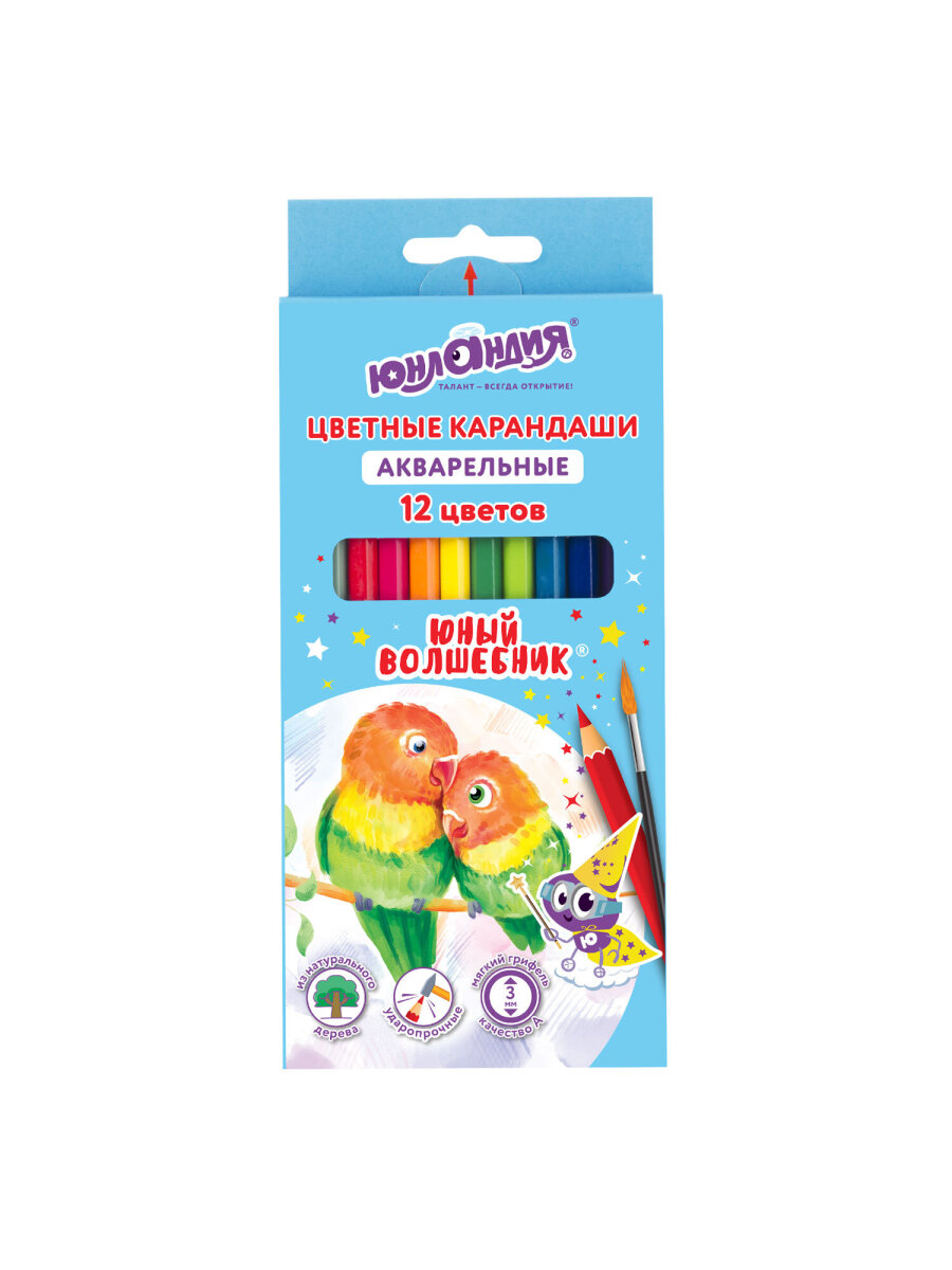 Карандаши цветные Юнландия 12 шт. - фото 4
