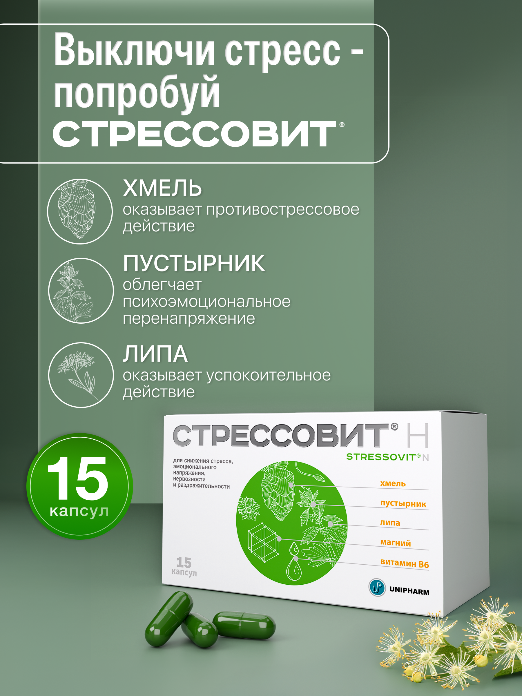 БАД Стрессовит Н 15 капсул - фото 2