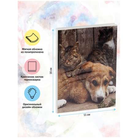 Фотоальбом ArtSpace 36 фото Friends