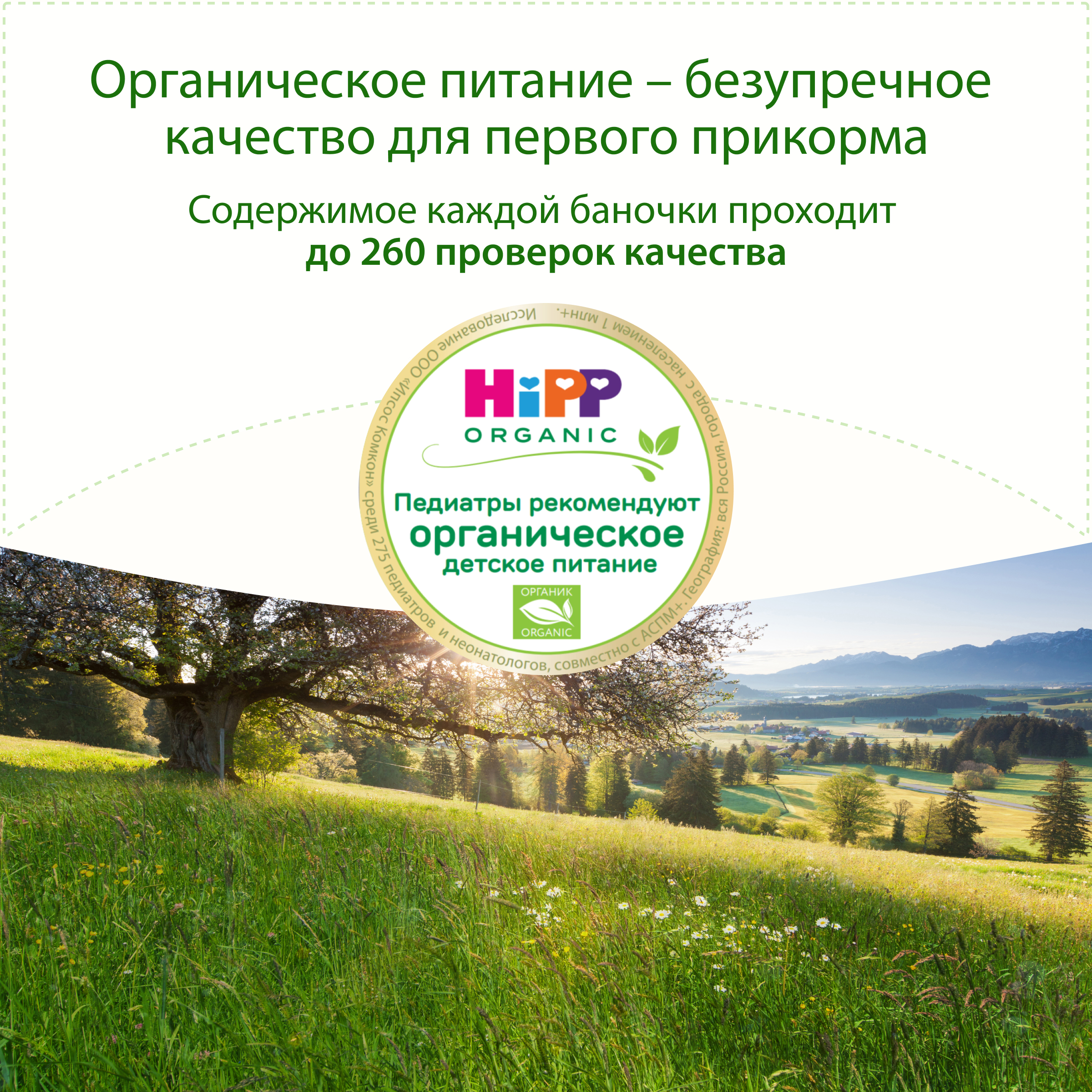 Готовый обед Hipp Крем-суп Тыквенный с 8 мес 190 г - фото 3