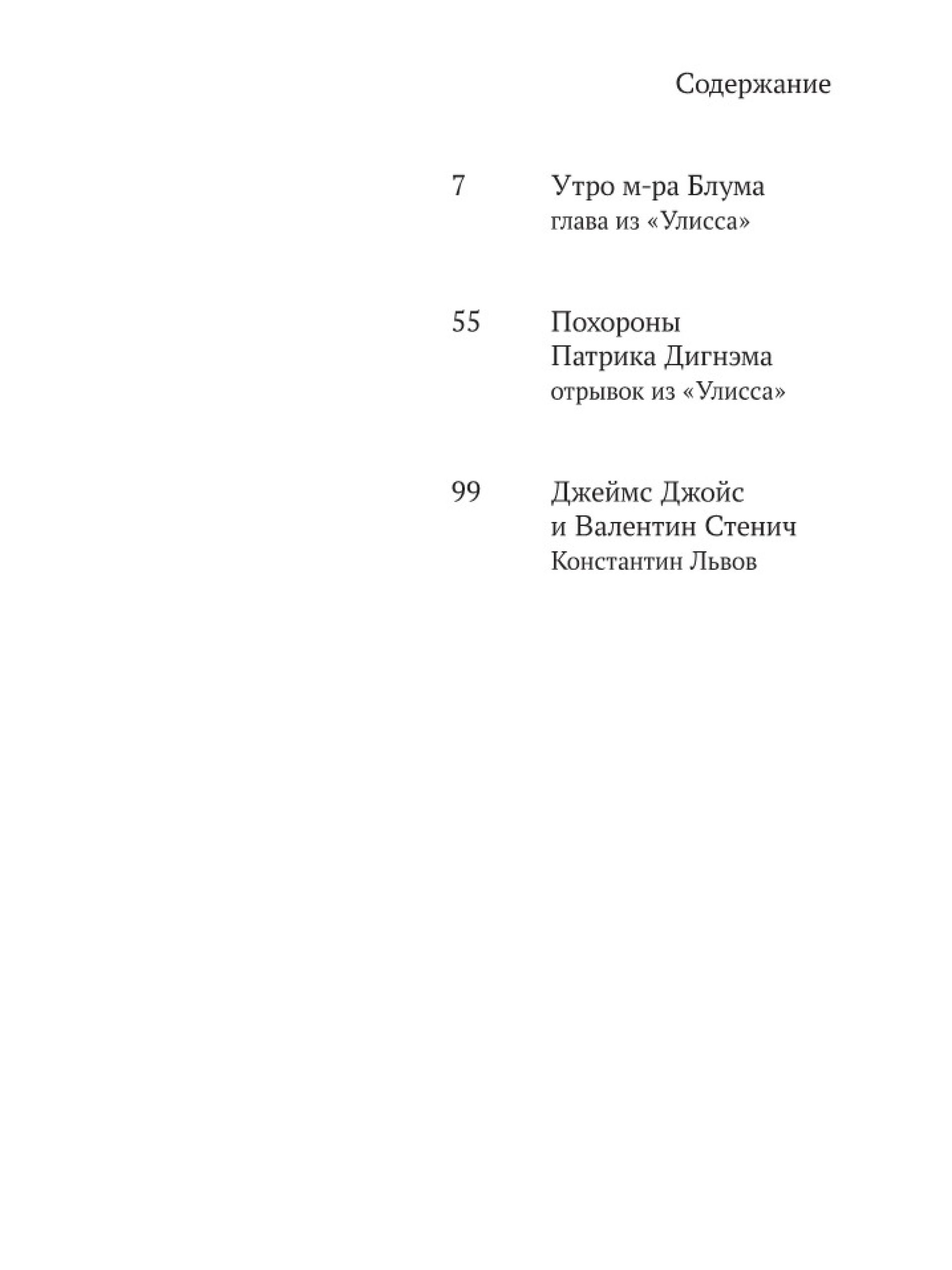 Книга Ad Marginem Похороны Патрика Дигнэма - фото 8