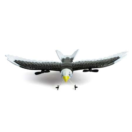 Самолет РУ Fei Xiong