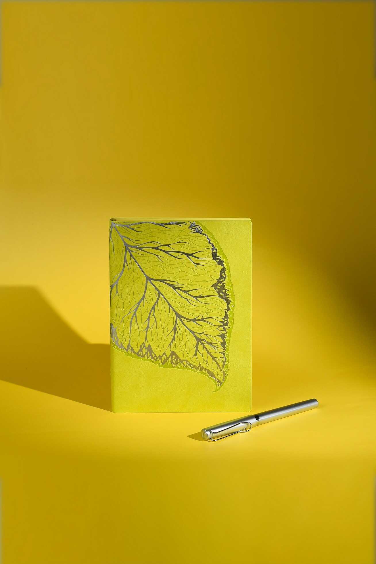 Ежедневник Феникс + ESCALADA 120 лист. - фото 5