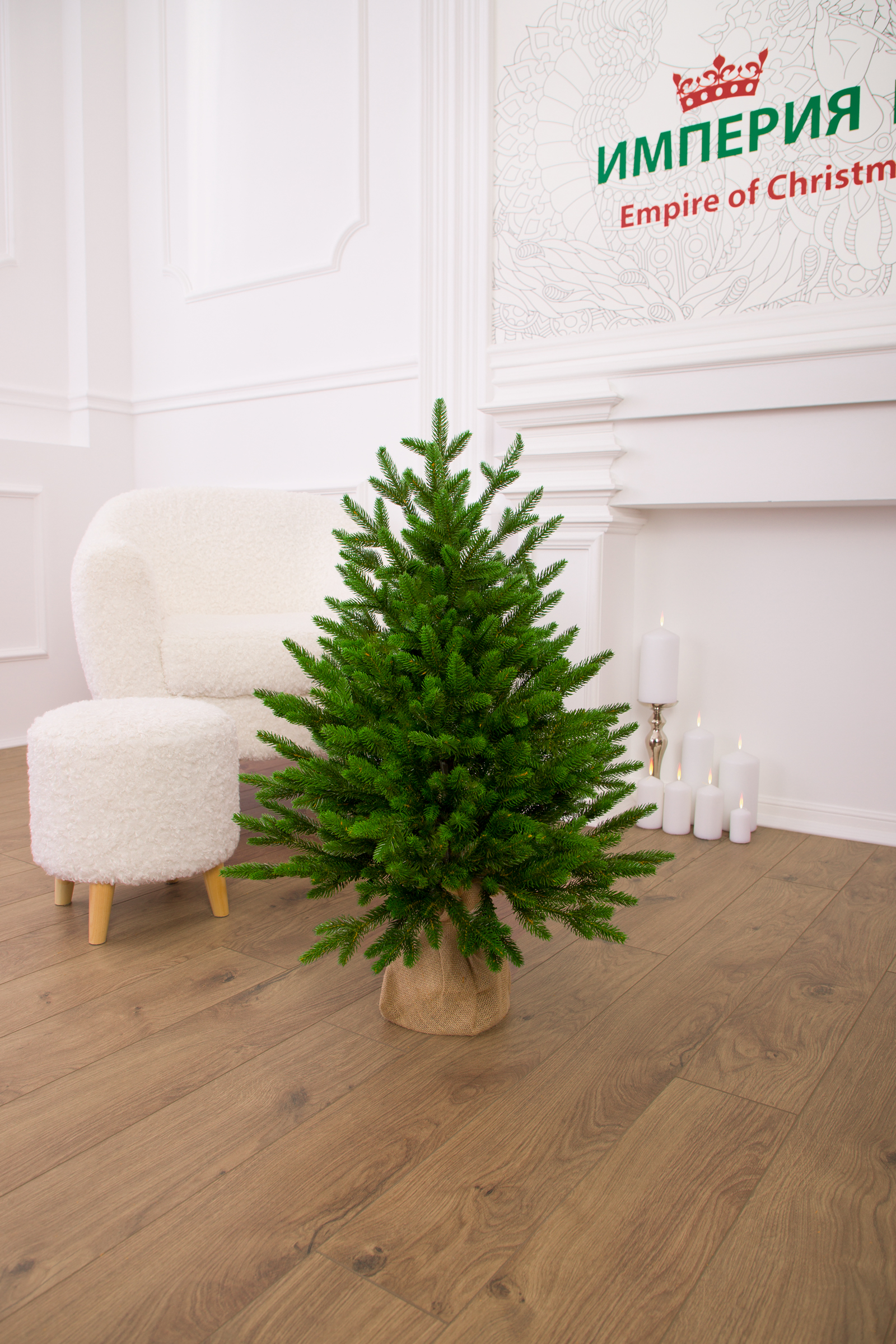 Ель Арфа Империя Ёлок 80 см - фото 4