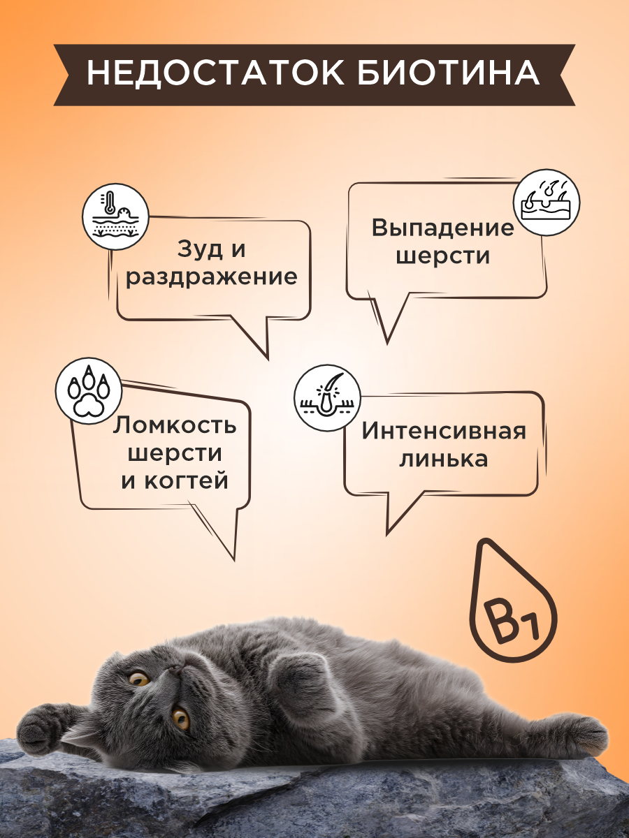 Полезное лакомство для кошек GOODR CAT со вкусом голландского сыра 90 таблеток - фото 4