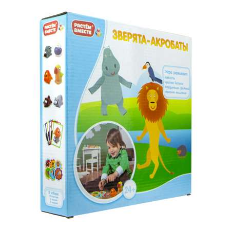 Игрушка 1TOY