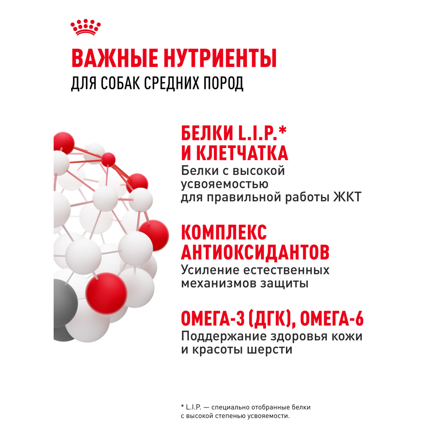 Корм для собак ROYAL CANIN Medium Adult консервированный полнорационный для взрослых собак средних размеров - фото 8