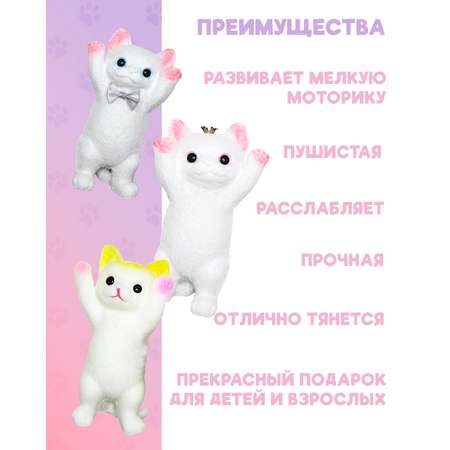 Сквиш КАМЕЛИЯ