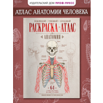 Раскраска-атлас Проф-Пресс Анатомия человека