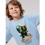 Свитшот Acoola