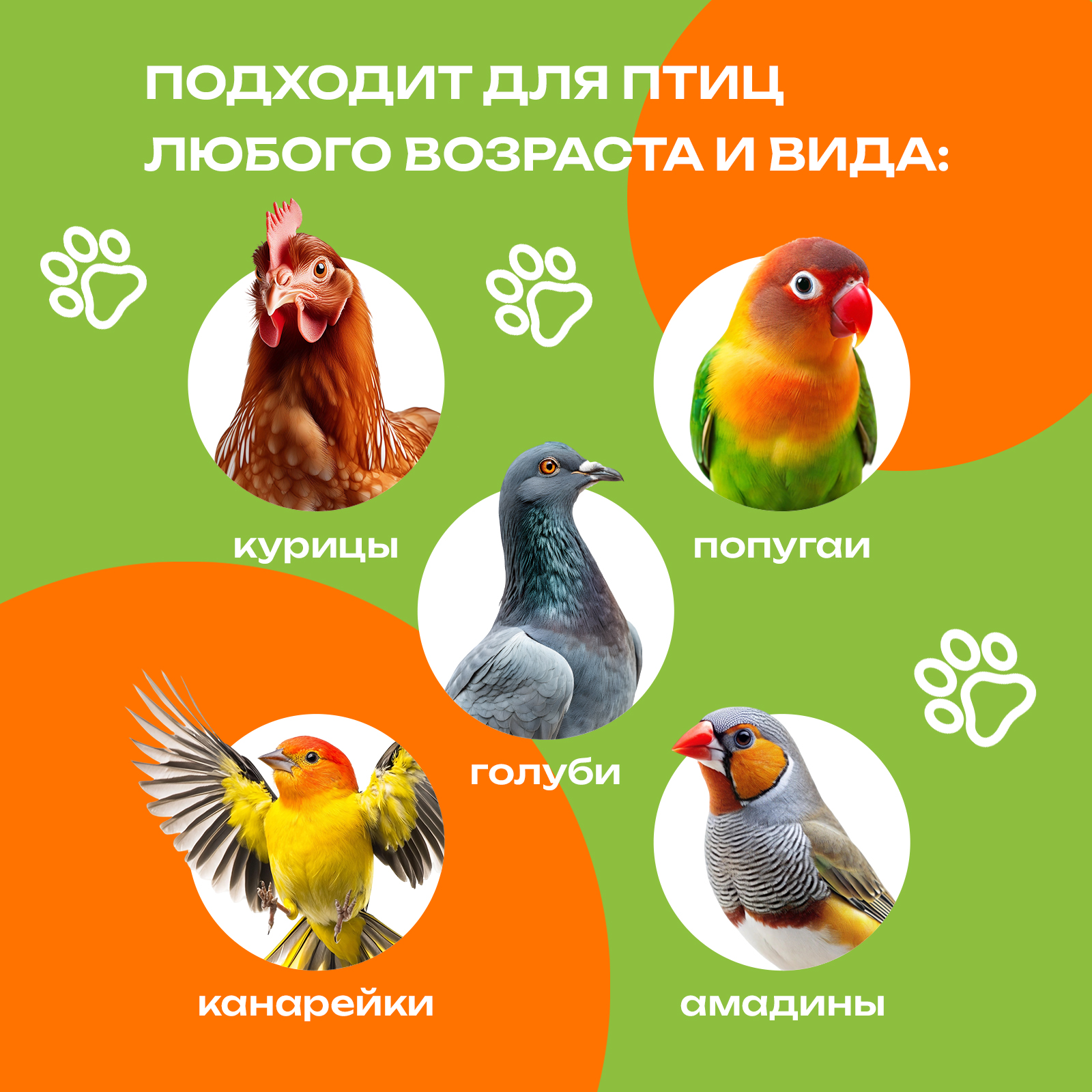 Средство диоксид кремния для кур PETPOWER от пероедов клещей и блох 500 мл - фото 4