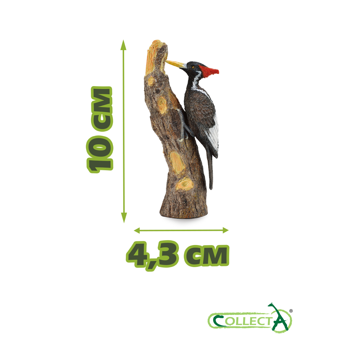 Фигурка Collecta Белоклювый Дятел - фото 2