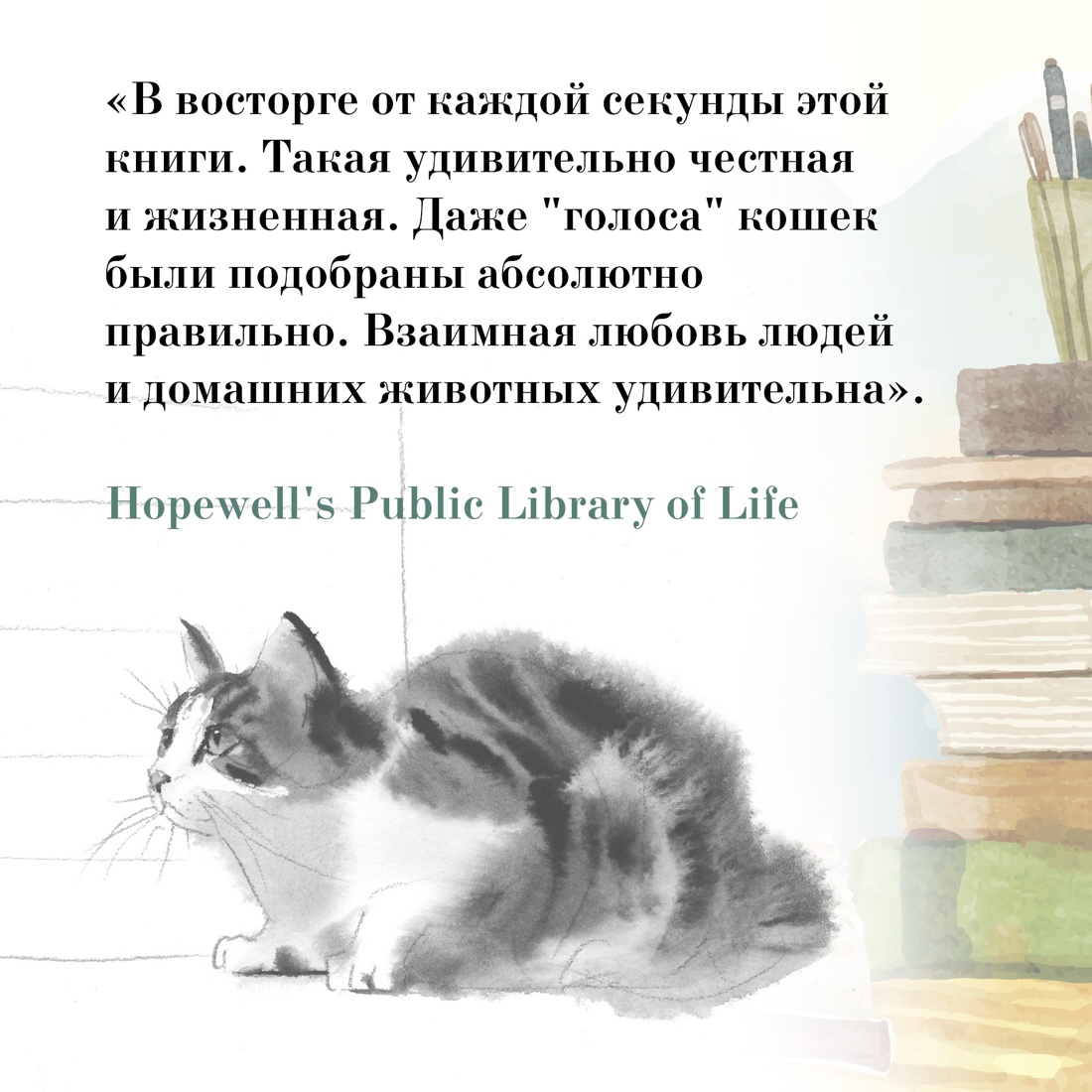 Книга АЗБУКА Хиро Арикава Прощание с котом - фото 7