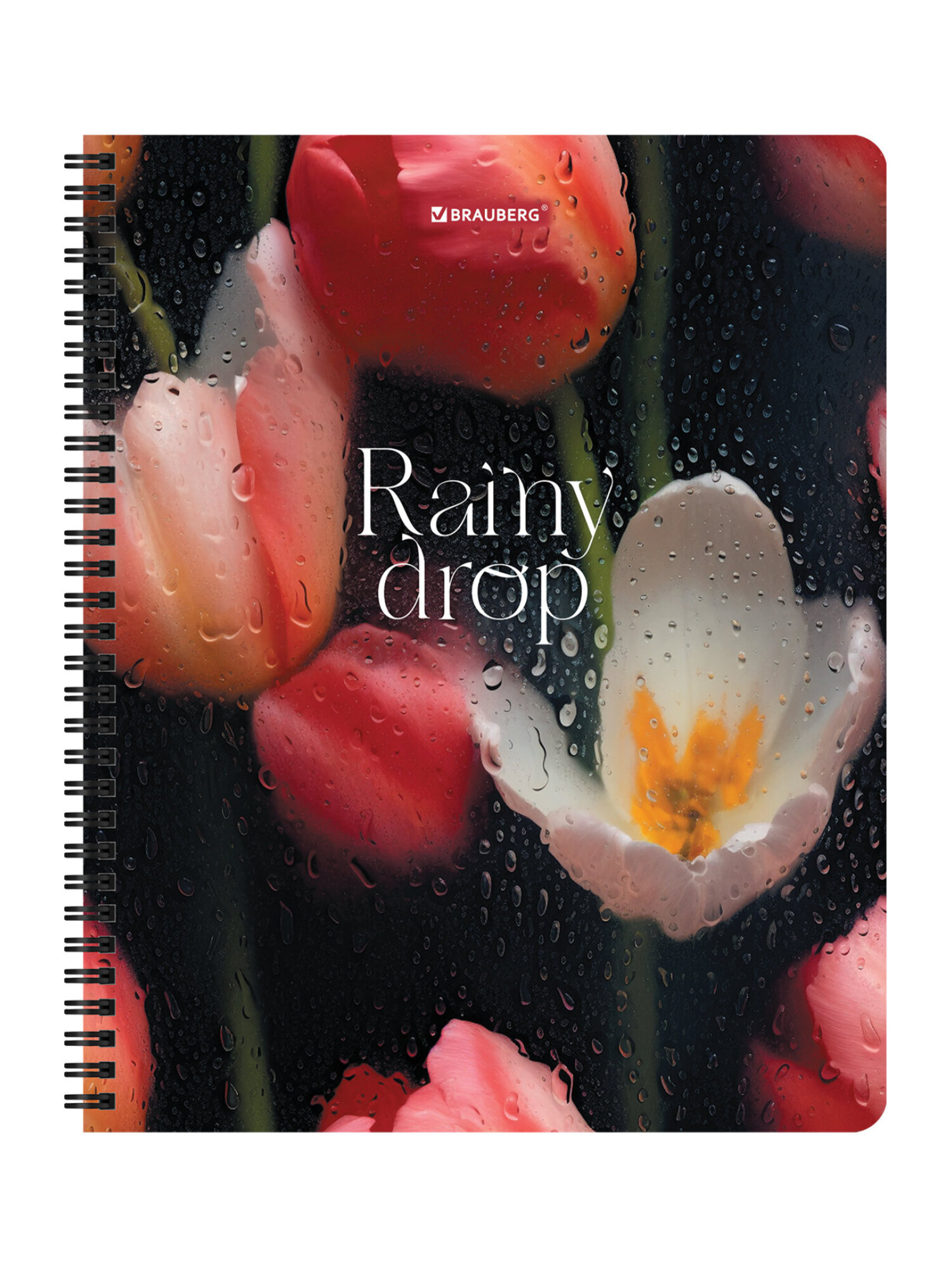 Общая тетрадь Brauberg клетка 96 лист. 4 шт. - фото 8