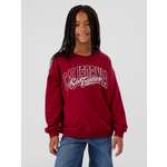 Свитшот Mark Formelle (Марк Формэль)