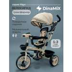 Трехколесный велосипед DinaMiX 10 дюймов