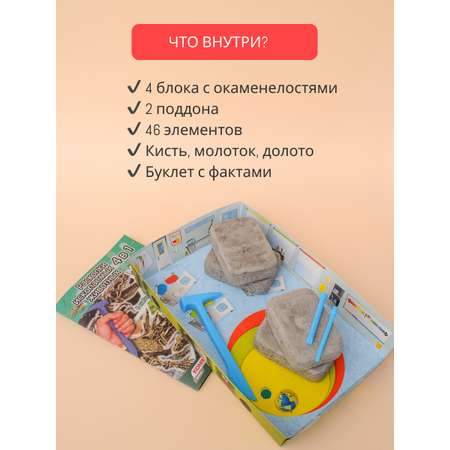 Набор для раскопок KONIK Science